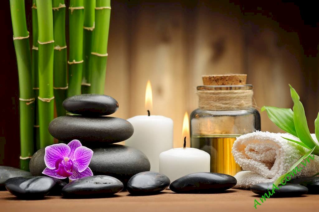 Dịch vụ của Tuệ Tâm