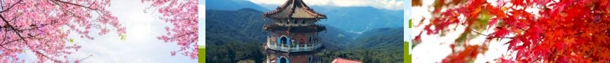 Tặng khóa học tiktok từ a-z